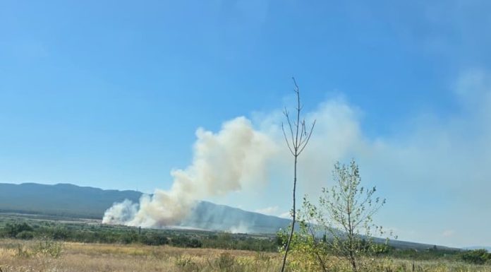 Mobilizare a pompierilor militari: foc extins pe 30 ha de vegetație uscată, la Bolotești
