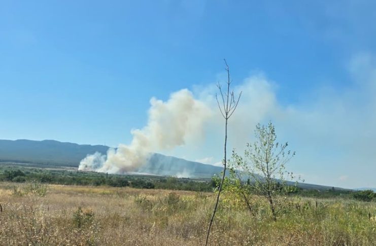 Mobilizare a pompierilor militari: foc extins pe 30 ha de vegetație uscată, la Bolotești