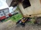 FOTO Incendiu la un apartament din Odobești, pornit de la o priză defectă PAAAAA1BMVEWurq51dlI4AAAAAXRSTlMmkutdmwAAAA5JREFUKM9jGAWjYJABAAKUAAHoEAeuAAAAAElFTkSuQmCC