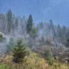 incendiu padure 1