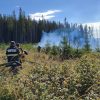 incendiu padure