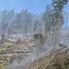 incendiu padure 2