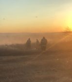ULTIMA ORĂ FOTO Incendiu de vegetație la Homocea 2 incendiu vegetatie 1