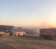 ULTIMA ORĂ FOTO Incendiu de vegetație la Homocea 3 incendiu vegetatie