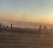 ULTIMA ORĂ FOTO Incendiu de vegetație la Homocea 1 incendiu vegetatie 2