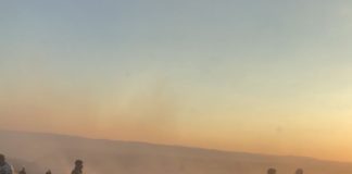 ULTIMA ORĂ Incendiu de vegetație la marginea Focșaniului