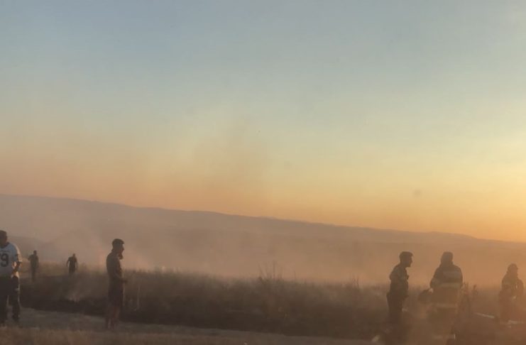 ULTIMA ORĂ Incendiu de vegetație la marginea Focșaniului