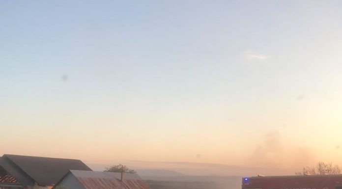 ULTIMA ORĂ FOTO Incendiu de vegetație la Homocea