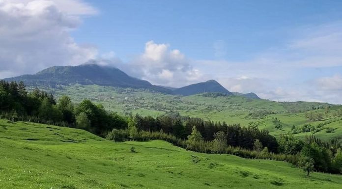 VIDEO Zona Jitia-Vintileasca: Pas cu pas, construim o rută turistică de referință pentru Vrancea