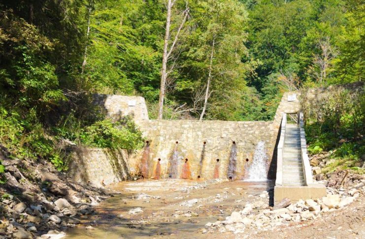 Romsilva a finalizat și recepționat toate lucrările de corectare a torenților (inclusiv în Vrancea) finanțate prin PNRR