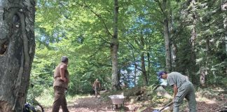 FOTO Lucrări la un traseu dedicat pasionaților de mountain bike