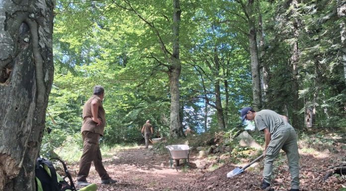 FOTO Lucrări la un traseu dedicat pasionaților de mountain bike