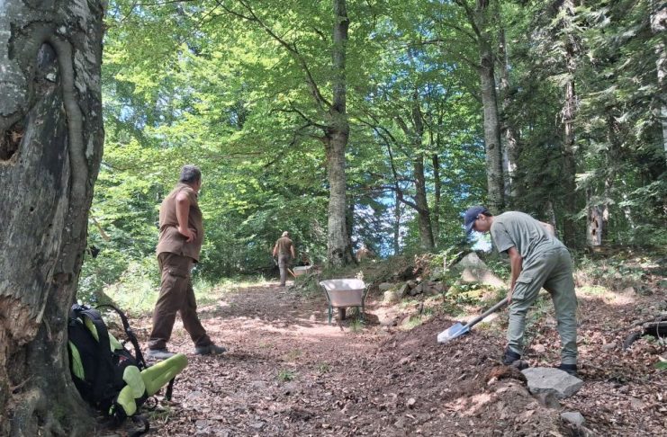 FOTO Lucrări la un traseu dedicat pasionaților de mountain bike