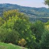 munte nistoresti