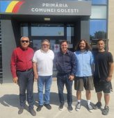 narcis raducan golesti