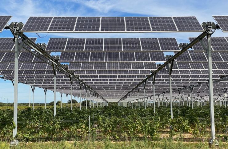 Panourile fotovoltaice și criza energetică / Falsurile care invadează mediul online versus ce fac alții / Un comentariu de specialitate