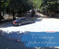 parc adjud distrugere 5