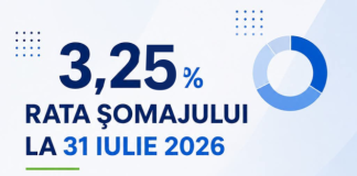 Rata șomajului în luna iulie: 3,25%