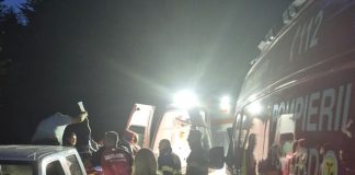 Tânărul peste care a căzut un copac, în stare foarte gravă