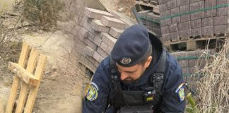 Jandarmii vrânceni au intervenit pentru salvarea unui câine căzut într-un puț