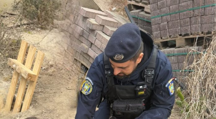 Jandarmii vrânceni au intervenit pentru salvarea unui câine căzut într-un puț