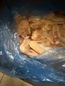 FOTO 1.800 de operatori verificați săptămâna trecută de Protecția Consumatorilor / Amenzi de peste 4,2 milioane lei 3 anpc 4
