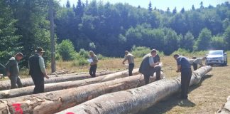 FOTO S-a desemnat ”cel mai bun pădurar” din Vrancea, în 2026