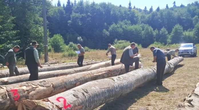 FOTO S-a desemnat ”cel mai bun pădurar” din Vrancea, în 2026