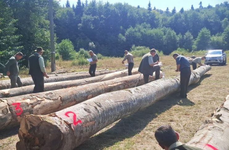 FOTO S-a desemnat ”cel mai bun pădurar” din Vrancea, în 2026