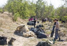 Vrancea se unește pentru Ziua de Curățenie Națională, pe 19 septembrie. Peste 10.000 de voluntari s-au înscris deja in judetul Vrancea curatenie Let s do it
