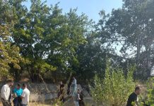 FOTO Polițiștii vrânceni au participat la acțiunile de ecologizare de astăzi ecologizare politisti 1