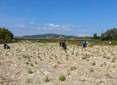 FOTO Polițiștii vrânceni au participat la acțiunile de ecologizare de astăzi 1 ecologizare politisti