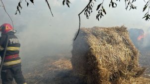 ULTIMA ORĂ Incendiu la o fermă din comuna Măicănești 3 incendiu ferma 1