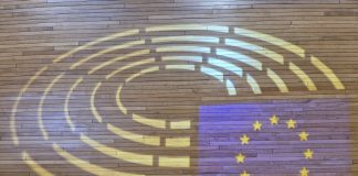 Parlamentul European adoptă noi norme privind comerțul electronic și vămile