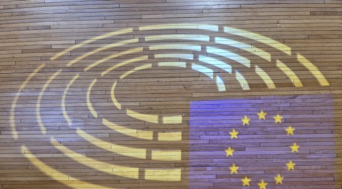 Parlamentul European adoptă noi norme privind comerțul electronic și vămile