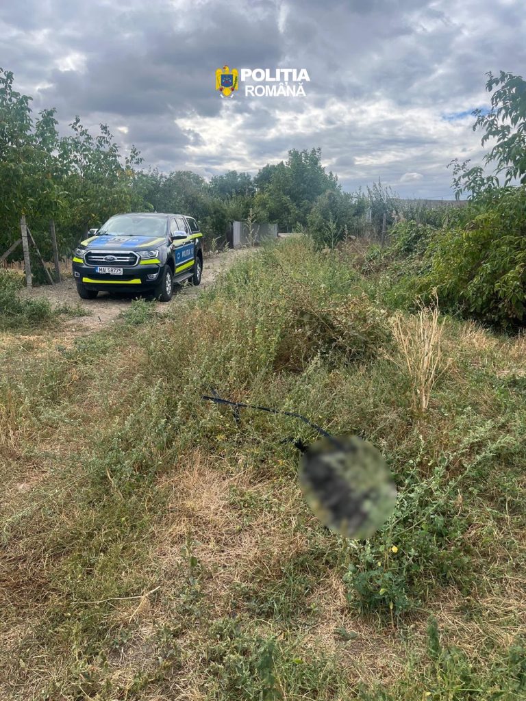 Câine legat de mașină, târât pe stradă. Ce a descoperit poliția 4 politia