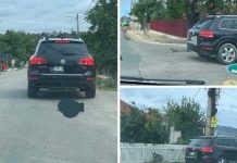 Câine legat de mașină, târât pe stradă. Ce a descoperit poliția