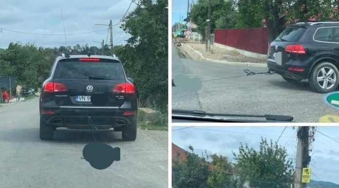 Câine legat de mașină, târât pe stradă. Ce a descoperit poliția