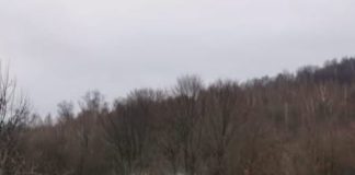 Bărbat lovit de un copac, într-o pădure din zona Nistorești