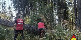 FOTO Noi lucrări de refacere a traseelor turistice din Munții Vrancei