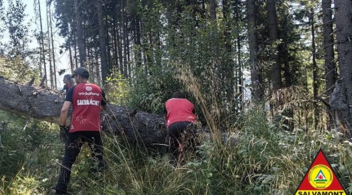FOTO Noi lucrări de refacere a traseelor turistice din Munții Vrancei