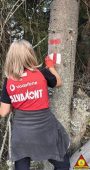 FOTO Noi lucrări de refacere a traseelor turistice din Munții Vrancei 2 salvamont traseu