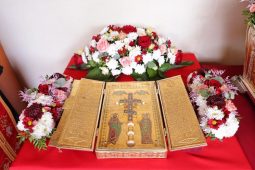 sfanta cruce 1