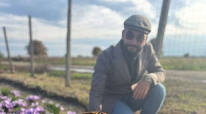 Gologanu schimbă regulile jocului: șofranul va fi plantat sub ochii oamenilor