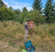 FOTO Traseul MTB, pregătit. Pasionații de mountain bike, așteptați sâmbătă, la Golul Lepșei 2 traseu mtb 1