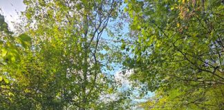 Meteo: vreme caldă în această săptămână / Se răcește ușor în weekend și săptămâna viitoare