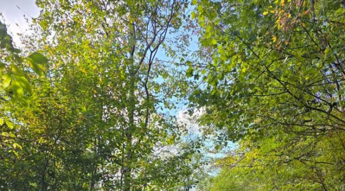 Meteo: vreme caldă în această săptămână / Se răcește ușor în weekend și săptămâna viitoare