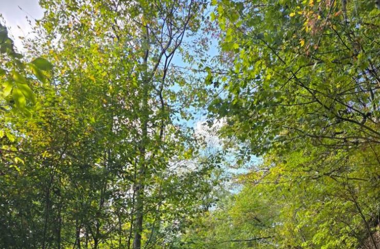 Meteo: vreme caldă în această săptămână / Se răcește ușor în weekend și săptămâna viitoare