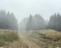 FOTO Noi lucrări de refacere a traseelor turistice din Munții Vrancei 3 traseu munte