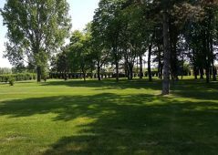Spectacol chinologic, în weekend: Vrancea Dog Show 2026 3 bohema garden